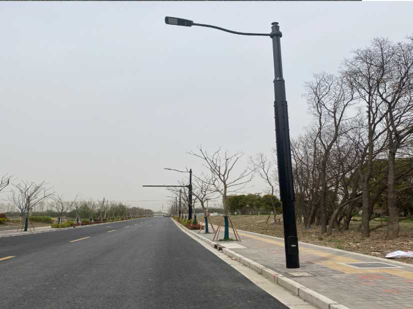 上高县上海综合杆 太阳能路灯工程